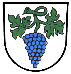 Weingarten Family Coat of Arms